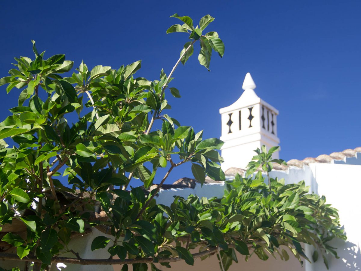 Casa Colibri